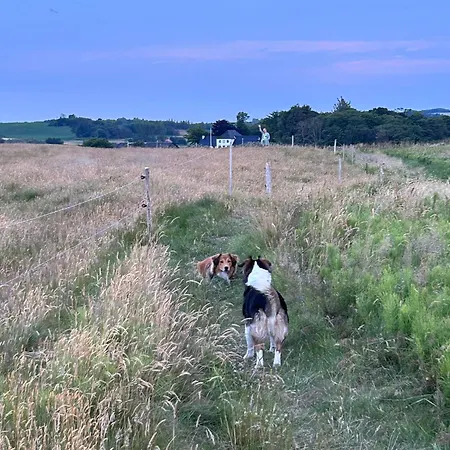 Charming By The Limfjord